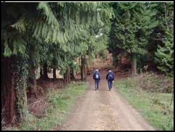 Mick and Peter walking along the wooded track that lead to Woodchester Park Mansion.